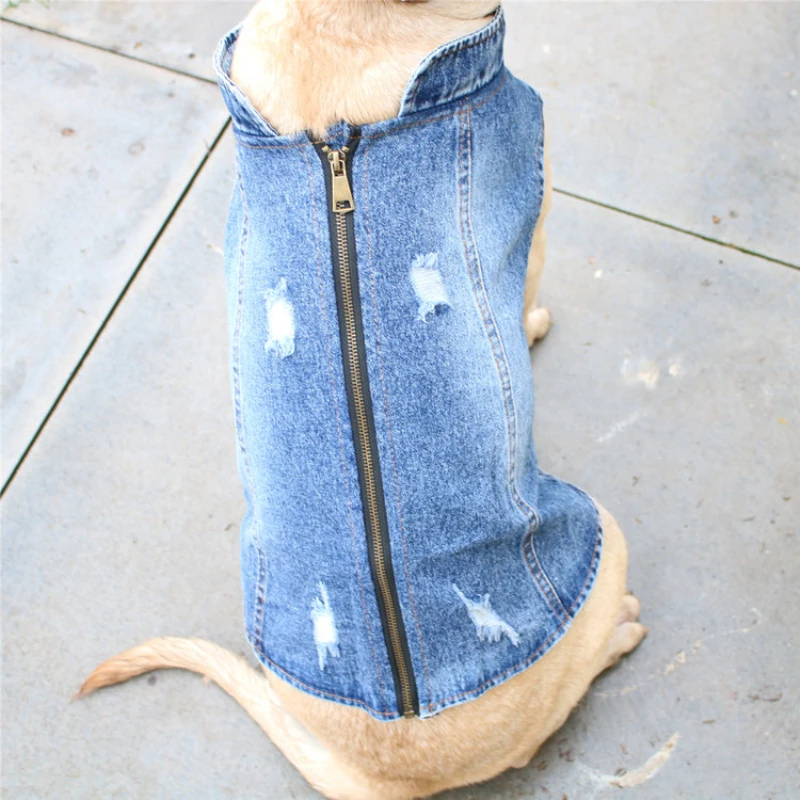 Summer Clothing In French - Summer Big Large Dog Clothing Denim