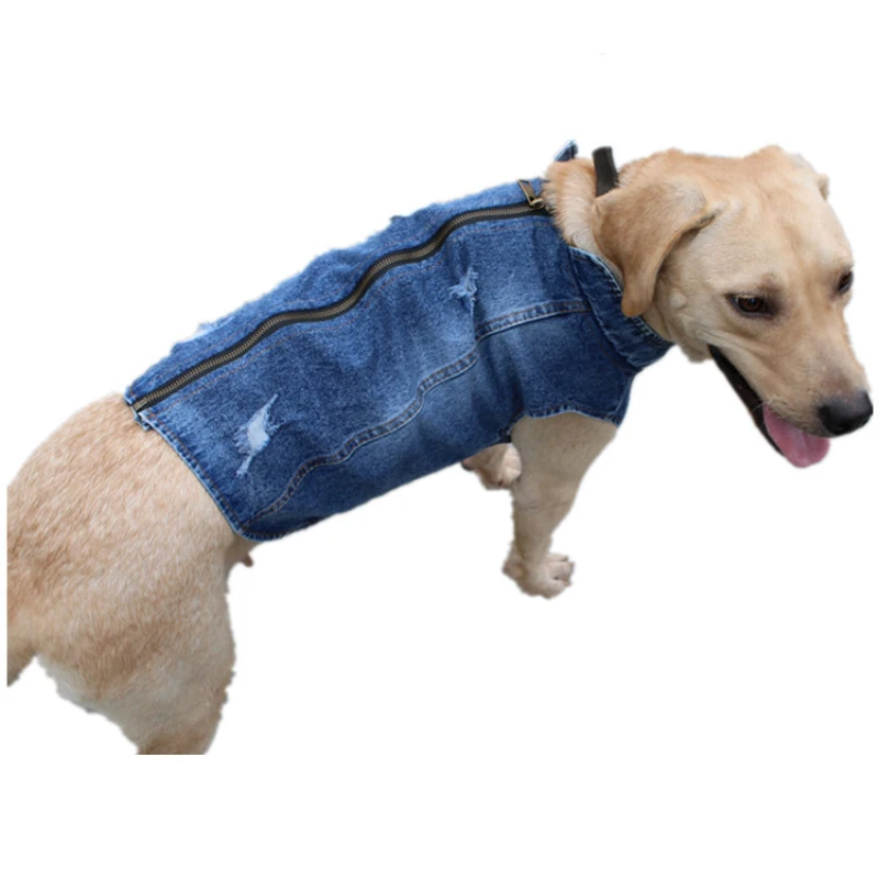 Summer Big Large Dog Clothing  - Summer Clothing In French 评论和价格