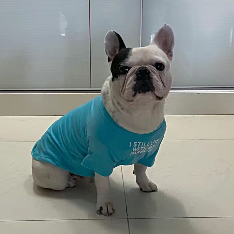 Fashion French Bulldog Pug Ves - Summer Clothing In French 评论和价格